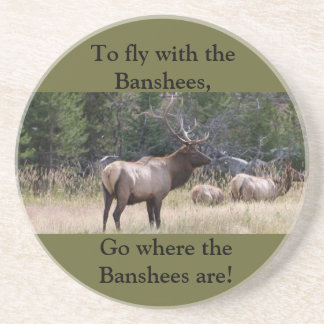 Kustfartyg för djurliv för älgjaktsandsten underlägg sandsten