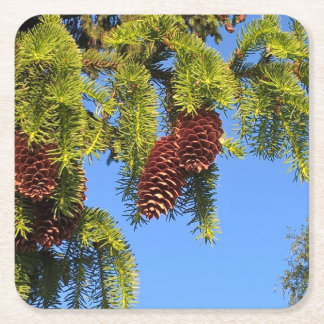 Kustfartyg för naturskogfoto med gren underlägg papper kvadrat