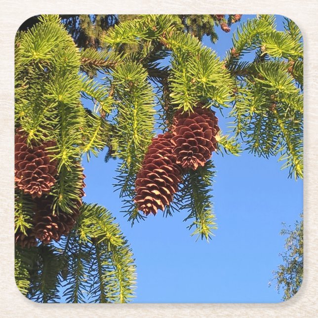 Kustfartyg för naturskogfoto med gren underlägg papper kvadrat (Framsidan)