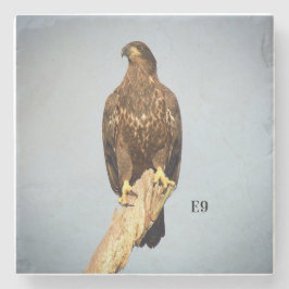 Kustfartyg för sten E9 Stenunderlägg