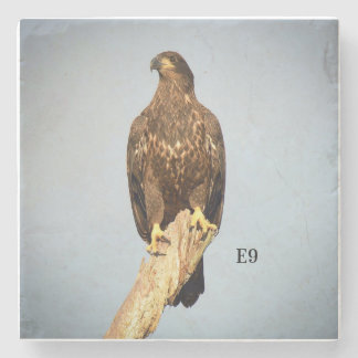 Kustfartyg för sten E9 Stenunderlägg