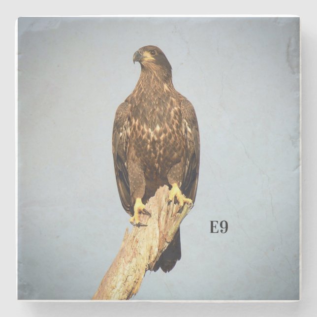 Kustfartyg för sten E9 Stenunderlägg (Framsidan)