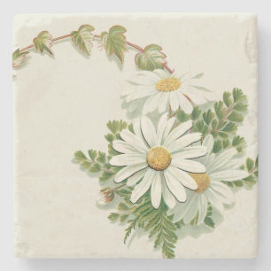 Kustfartyg för vitdaisysten underlägg sten