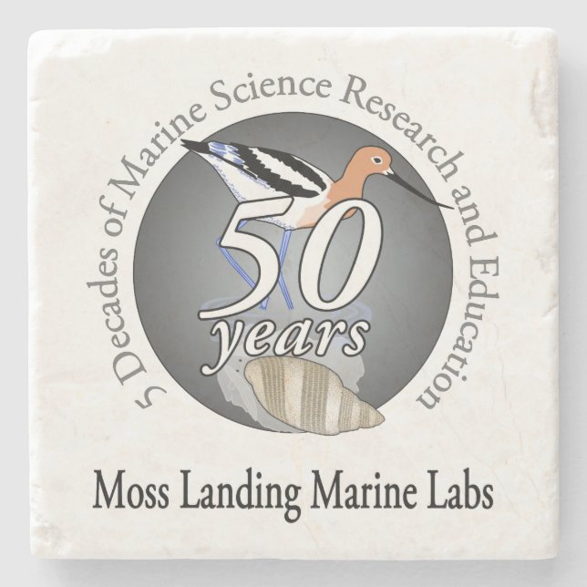 Kustfartyg (marmorsten): Fågeln/inverterar Stenunderlägg (Framsidan)