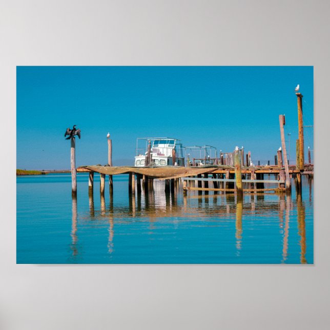 Kustfloden Velddrif South Afrika Landskapsbåtfågla Poster (Framsidan)