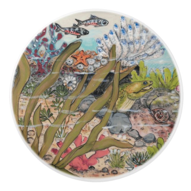 Kusthavet Life Moray Eel Fiske under vatten Knopp (Framsidan)