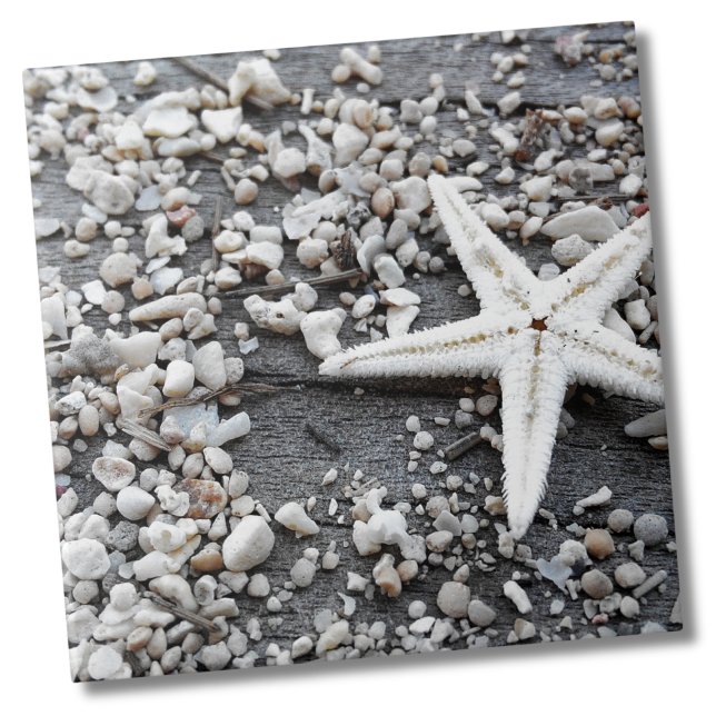 Kusthavets Snäcka Mönster Kakelplatta (Nautical White Starfish Shell Gray Sand Beach Ceramic Tile)