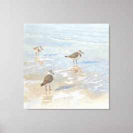Kustkonst Sandpipers på strand Canvastryck
