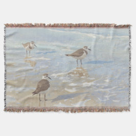 Kustkonst Sandpipers på strand Filt