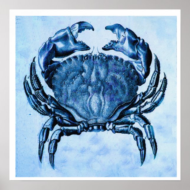 Kustkrabba - vintage poster (Framsidan)