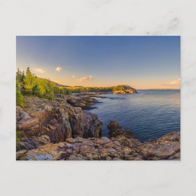 Kustlinje | Acadia National Park, Schooner Head Vykort (Framsida)