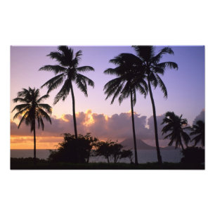 Kustlinje St. Kitts Fototryck