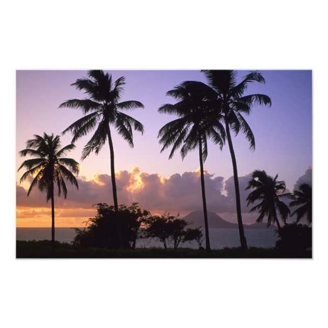 Kustlinje St. Kitts Fototryck (Framsidan)