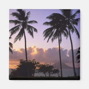 Kustlinje St. Kitts Magnet