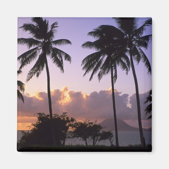 Kustlinje St. Kitts Magnet (Framsidan)