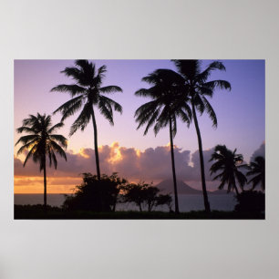 Kustlinje St. Kitts Poster