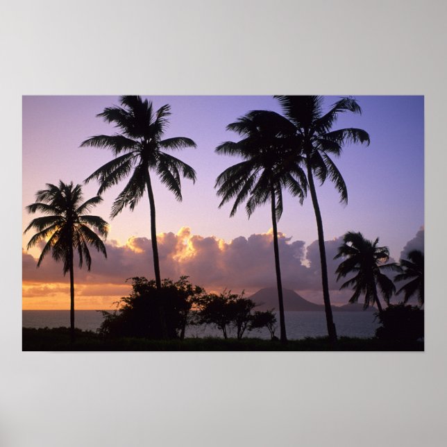 Kustlinje St. Kitts Poster (Framsidan)