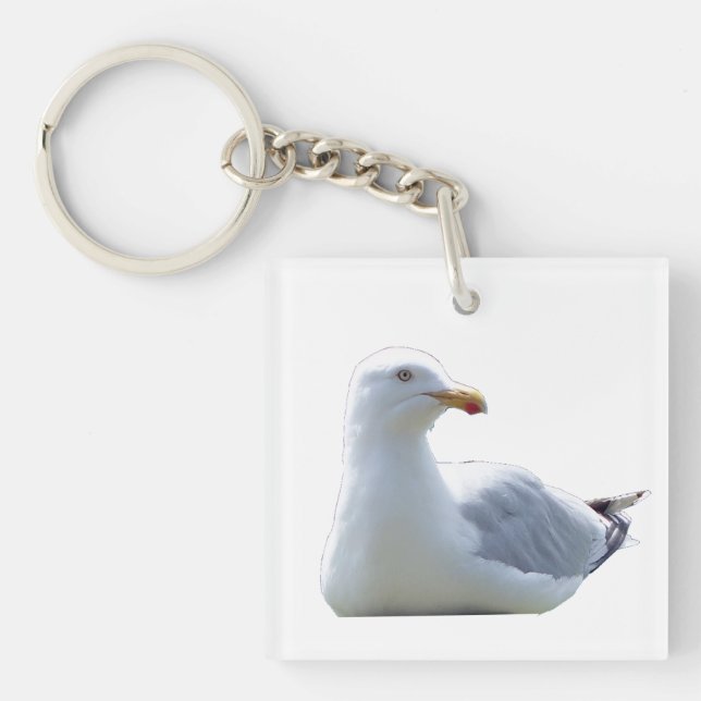 Kustmås Vilda Djur Ocean Fågel Minimalistisk (Framsidan)