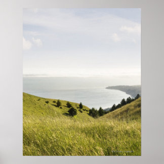 Kustnära backe, Bolinas Ridge, Kalifornien Poster