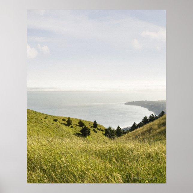 Kustnära backe, Bolinas Ridge, Kalifornien Poster (Framsidan)