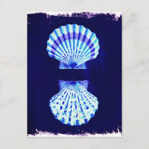 kustnära kustnära kustnära kustnära kustnära kustn vykort
