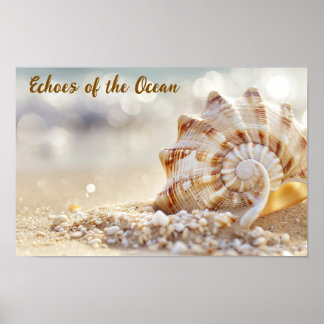 Kustnära Lugn: Seashell på solbelyst strand Poster