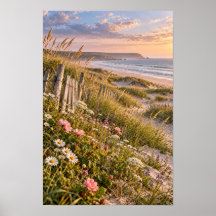 Kustnära sanddyner Vilda blommor Solnedgång Strand