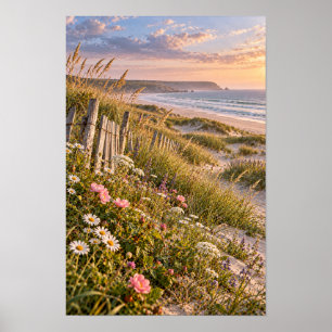 Kustnära sanddyner Vilda blommor Solnedgång Strand Poster