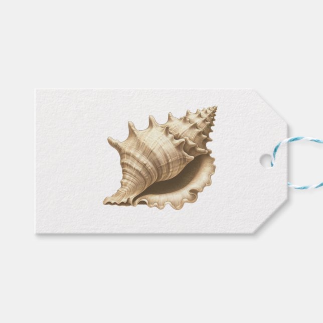 Kustnära/strand/nautiska säsongskal presentetikett (Framsidan (Horisontell))