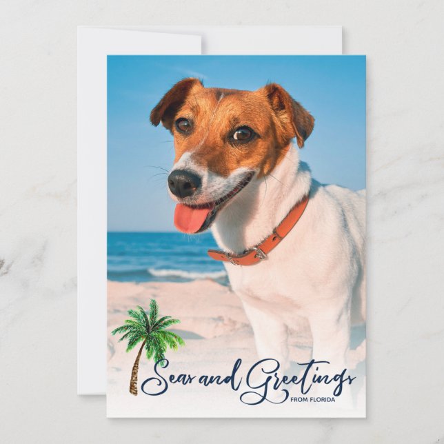 Kustnotshav och Hälsning jul 2-foto Julkort (Framsida)