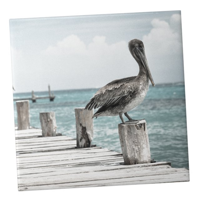 KustOceanen Pelican Kakelplatta (Pelican Aqua Blue Ocean Nautical Coastal ceramic tile)