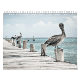 KustOceanen Pelican Kalender