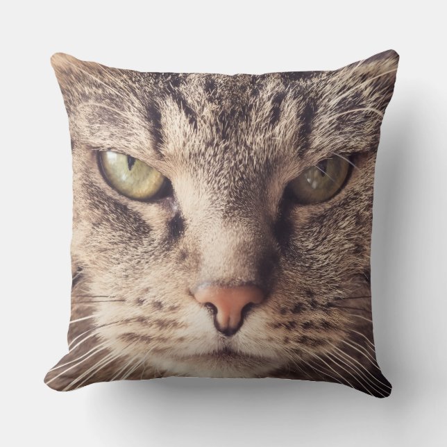 kustom kudde för katt (Framsida)