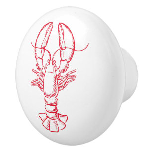Kustrött och vit lobster knopp