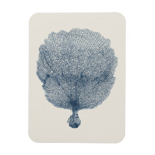 Kustsamling i Indigo VI Magnet