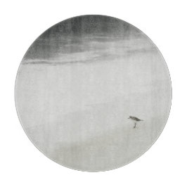 Kustsandpiper på stranden