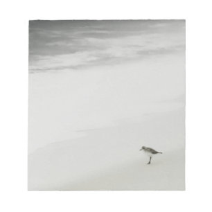 Kustsandpiper på stranden anteckningsblock