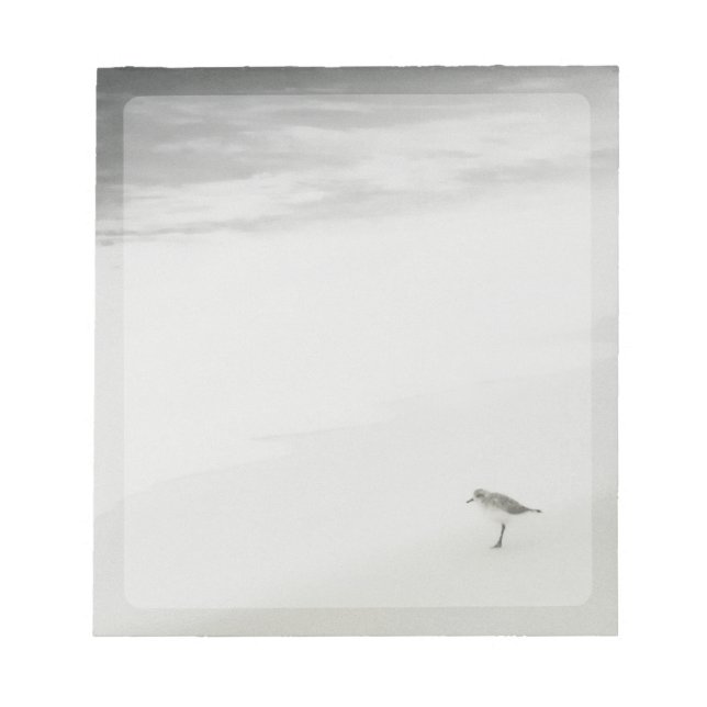 Kustsandpiper på stranden anteckningsblock (Framsida)