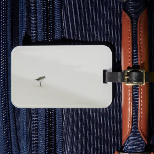 Kustsandpiper på stranden bagagebricka (Framsida Insitu 4)