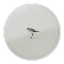 Kustsandpiper på stranden