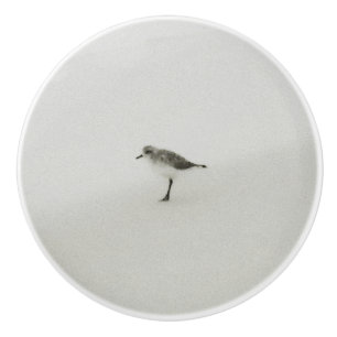 Kustsandpiper på stranden knopp