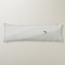 Kustsandpiper på stranden