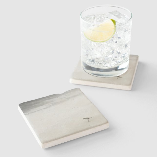 Kustsandpiper på stranden stenunderlägg (Sidan)