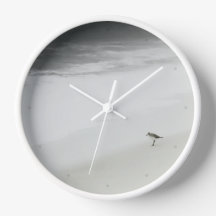 Kustsandpiper på stranden