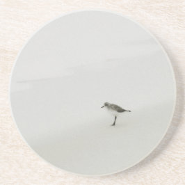 Kustsandpiper på stranden underlägg