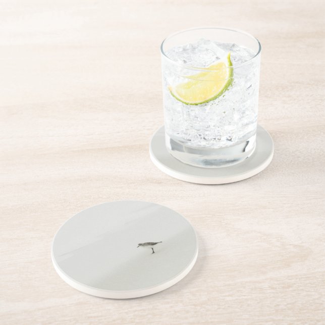 Kustsandpiper på stranden underlägg (Sidan)