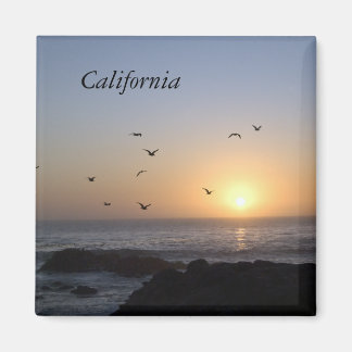 Kustsolnedgång Magnet