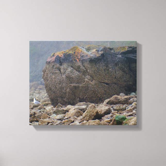 Kuststrand, bergig strand, boulder, kustland, unik canvastryck (Framsida)