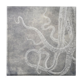 Kustvattenfärg Octopus Silver Pewter-Neutralt Kakelplatta