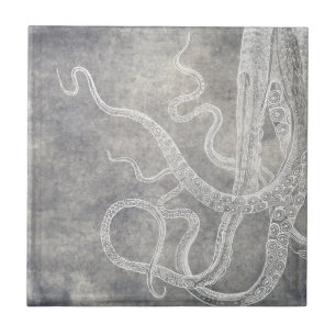 Kustvattenfärg Octopus Silver Pewter-Neutralt Kakelplatta